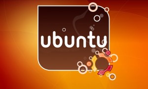 Ubuntu 10.04安装配置指南[需翻墙]